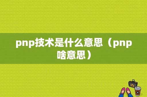 pnp技术是什么意思（pnp啥意思）