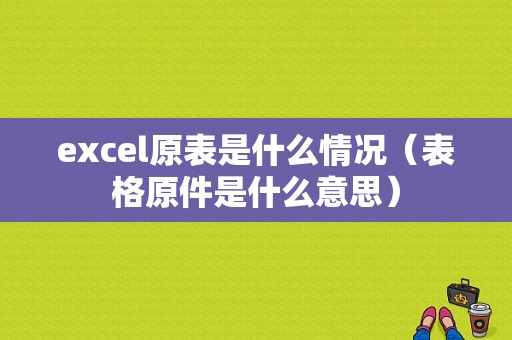 excel原表是什么情况（表格原件是什么意思）