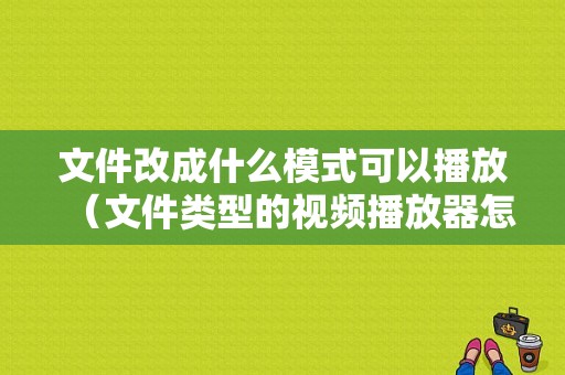 文件改成什么模式可以播放（文件类型的视频播放器怎么改）