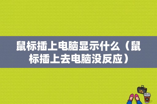 鼠标插上电脑显示什么（鼠标插上去电脑没反应）