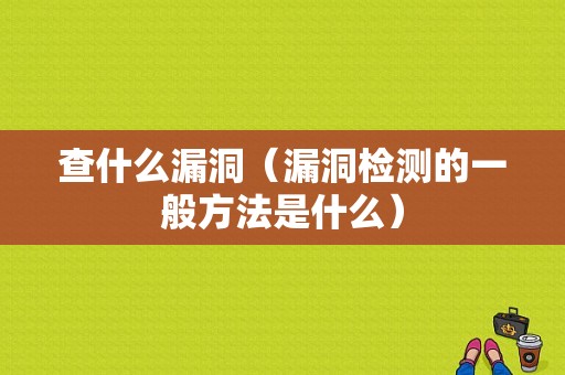 查什么漏洞（漏洞检测的一般方法是什么）