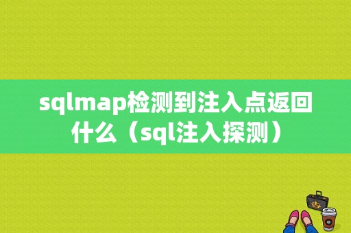 sqlmap检测到注入点返回什么（sql注入探测）