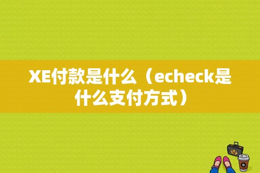 XE付款是什么（echeck是什么支付方式）