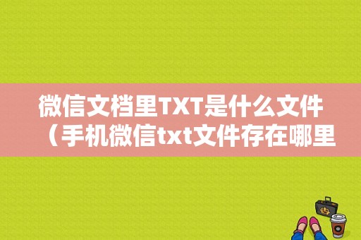 微信文档里TXT是什么文件（手机微信txt文件存在哪里）