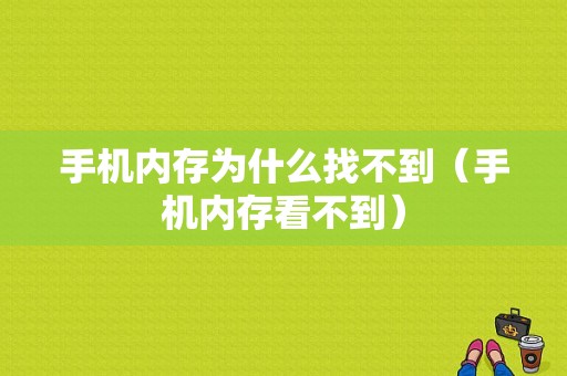 手机内存为什么找不到（手机内存看不到）