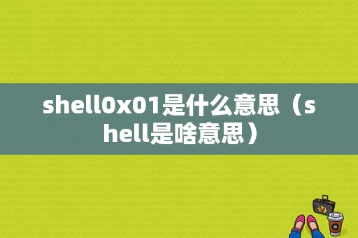 shell0x01是什么意思（shell是啥意思）