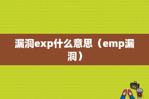 漏洞exp什么意思（emp漏洞）