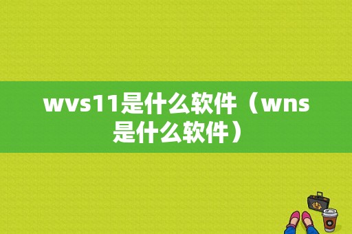 wvs11是什么软件（wns是什么软件）