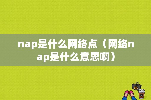 nap是什么网络点（网络nap是什么意思啊）