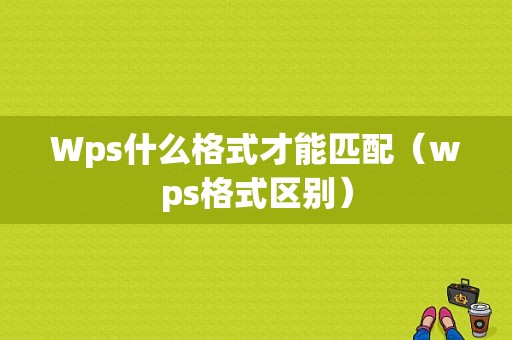 Wps什么格式才能匹配（wps格式区别）