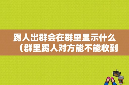 踢人出群会在群里显示什么（群里踢人对方能不能收到提示）