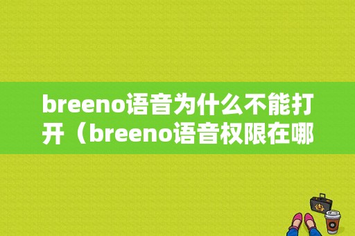 breeno语音为什么不能打开（breeno语音权限在哪里）