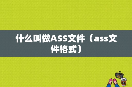 什么叫做ASS文件（ass文件格式）