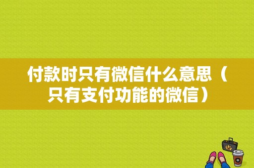 付款时只有微信什么意思（只有支付功能的微信）