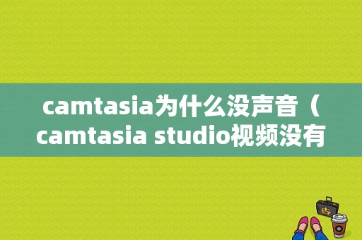 camtasia为什么没声音（camtasia studio视频没有显示）