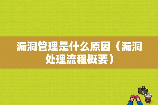 漏洞管理是什么原因（漏洞处理流程概要）