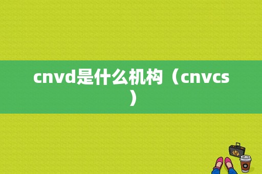 cnvd是什么机构（cnvcs）