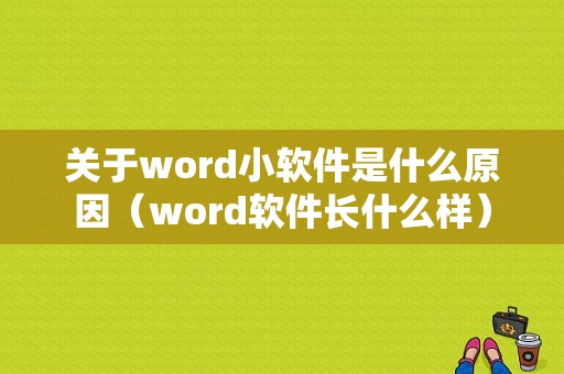 关于word小软件是什么原因（word软件长什么样）