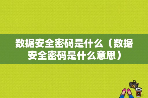 数据安全密码是什么（数据安全密码是什么意思）