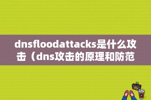 dnsfloodattacks是什么攻击（dns攻击的原理和防范方式）