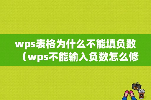 wps表格为什么不能填负数（wps不能输入负数怎么修改）