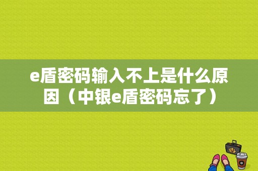 e盾密码输入不上是什么原因（中银e盾密码忘了）