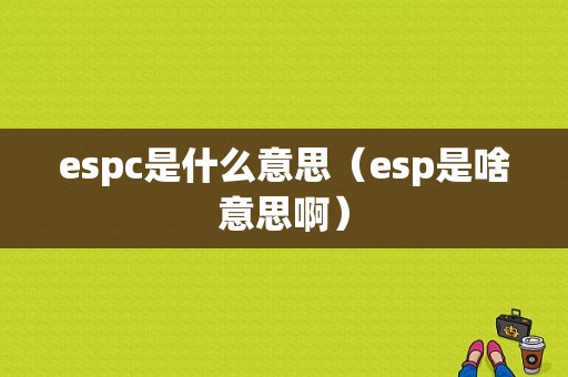 espc是什么意思（esp是啥意思啊）