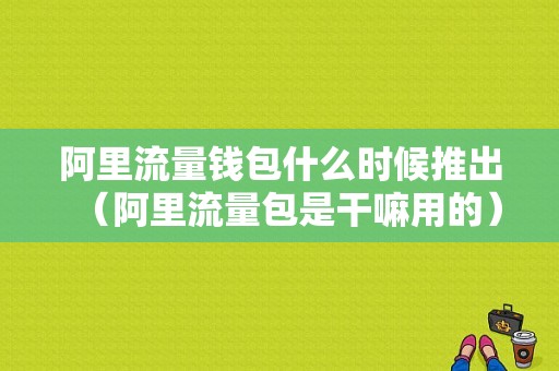 阿里流量钱包什么时候推出（阿里流量包是干嘛用的）