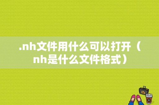 .nh文件用什么可以打开（nh是什么文件格式）