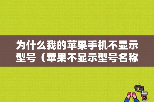 为什么我的苹果手机不显示型号（苹果不显示型号名称）