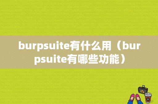 burpsuite有什么用（burpsuite有哪些功能）