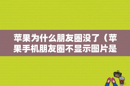 苹果为什么朋友圈没了（苹果手机朋友圈不显示图片是什么原因）