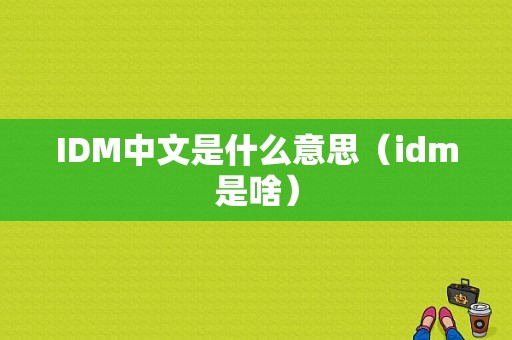 IDM中文是什么意思（idm是啥）