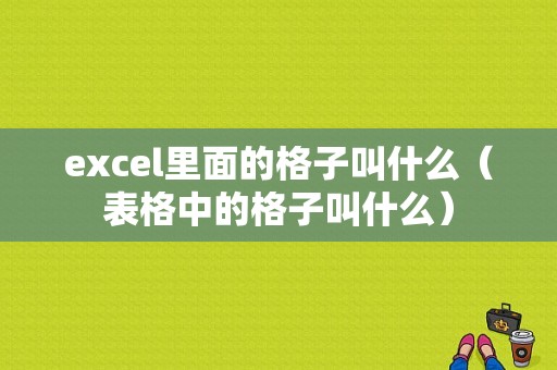 excel里面的格子叫什么（表格中的格子叫什么）