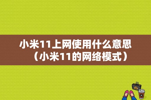 小米11上网使用什么意思（小米11的网络模式）