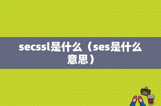 secssl是什么（ses是什么意思）