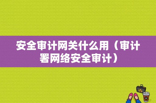 安全审计网关什么用（审计署网络安全审计）