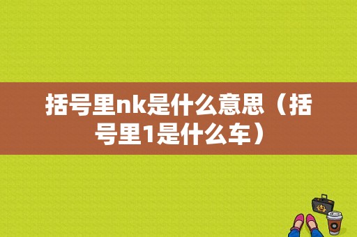 括号里nk是什么意思（括号里1是什么车）