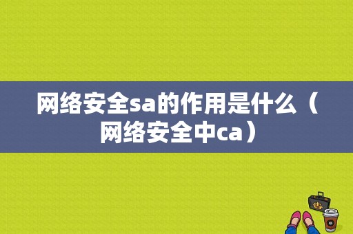 网络安全sa的作用是什么（网络安全中ca）