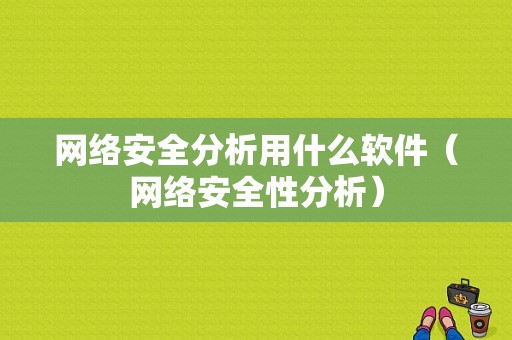 网络安全分析用什么软件（网络安全性分析）