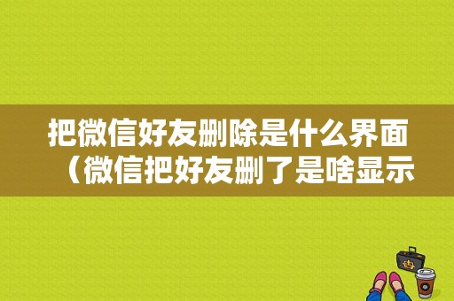 把微信好友删除是什么界面（微信把好友删了是啥显示）