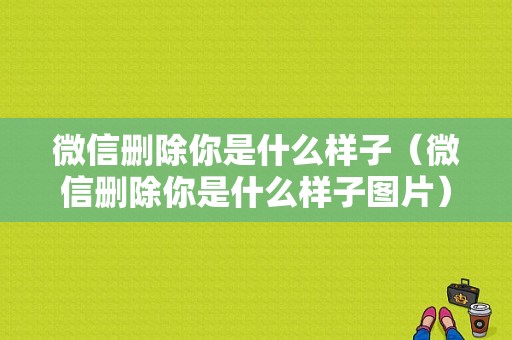 微信删除你是什么样子（微信删除你是什么样子图片）