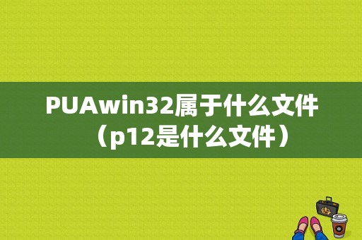 PUAwin32属于什么文件（p12是什么文件）