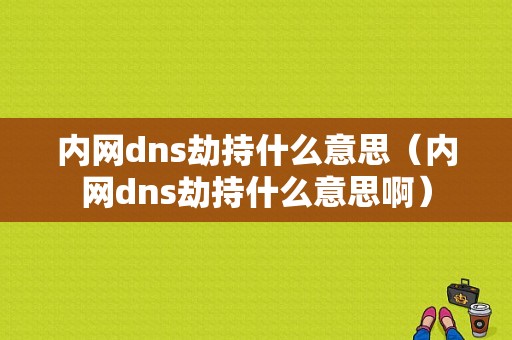 内网dns劫持什么意思（内网dns劫持什么意思啊）