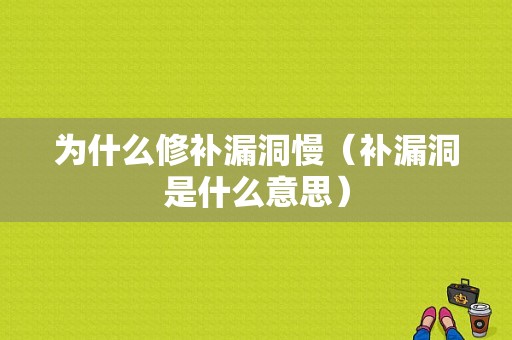 为什么修补漏洞慢（补漏洞是什么意思）