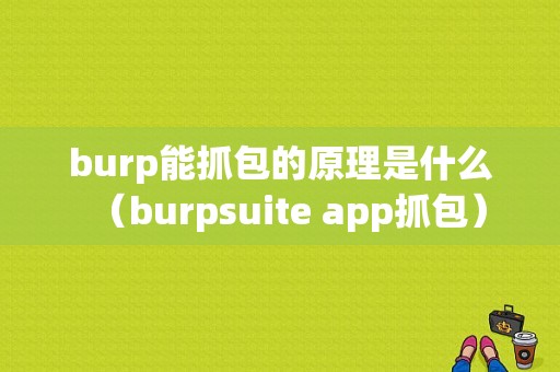 burp能抓包的原理是什么（burpsuite app抓包）