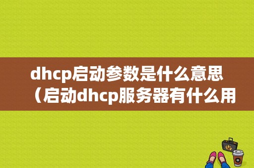 dhcp启动参数是什么意思（启动dhcp服务器有什么用）