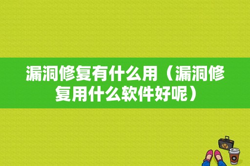 漏洞修复有什么用（漏洞修复用什么软件好呢）