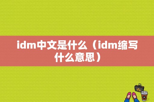 idm中文是什么（idm缩写什么意思）