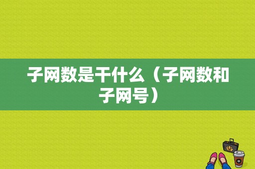 子网数是干什么（子网数和子网号）